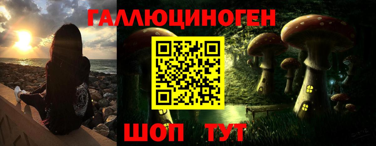 Псилоцибиновые грибы GOLDEN TEACHER Чебоксары